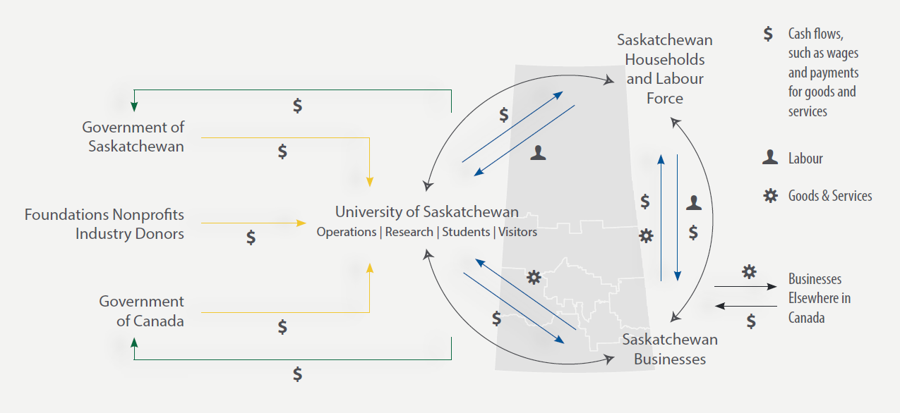 FIGURE 4. Ties between USask and the Provincial Economy
